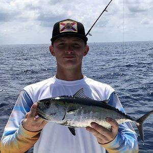 Meet your Posher, Benjamin